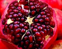 Pomegranate-dreams