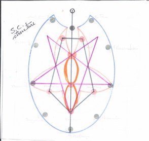 shakticlusterstructure